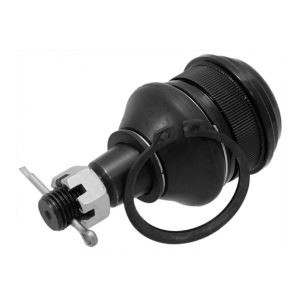 Kuglefælles for Noah